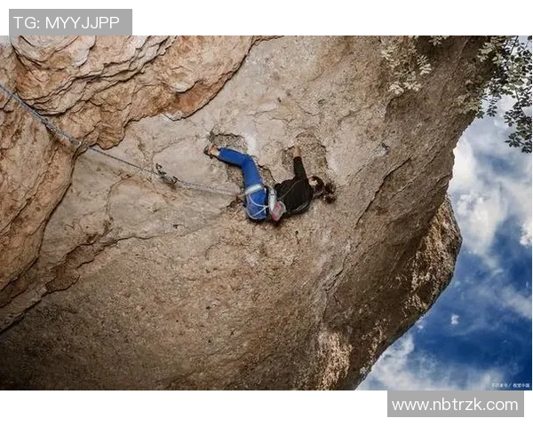 西安攀岩队的团队协作探索与实践：攀登高峰的精神与力量